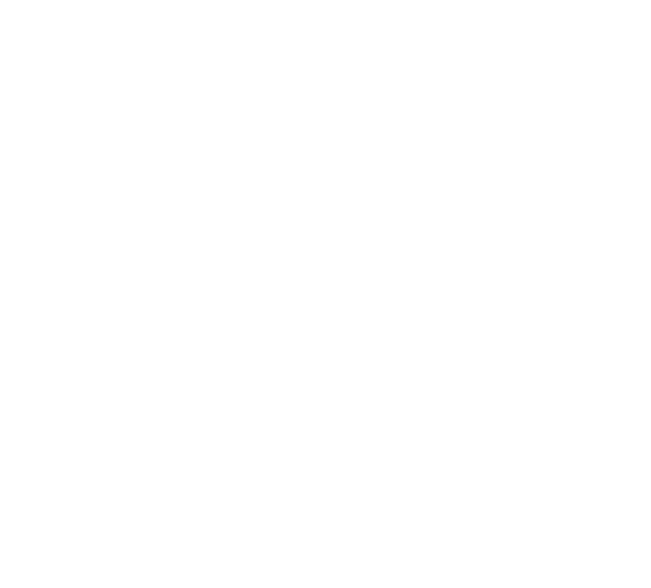 Navfi Shape